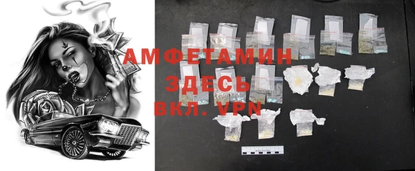 хмурый Алзамай