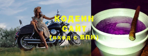 хмурый Алзамай
