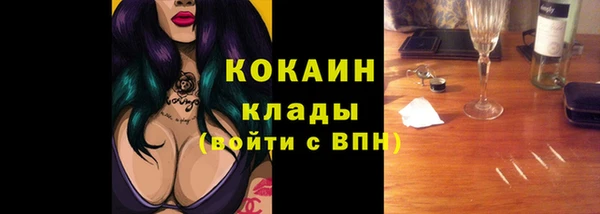 крисы Алексин
