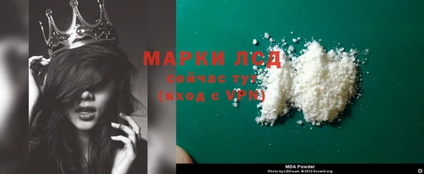 хмурый Алзамай