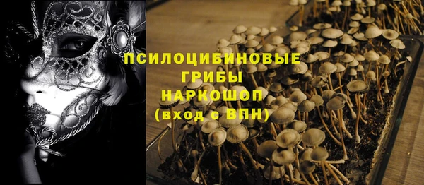 прущие крисы Алексеевка