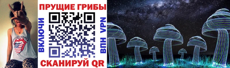 где можно купить   Омутнинск  Псилоцибиновые грибы Cubensis 